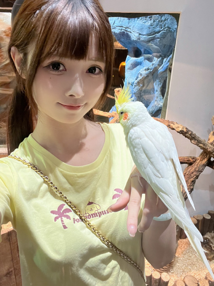 莲花楼